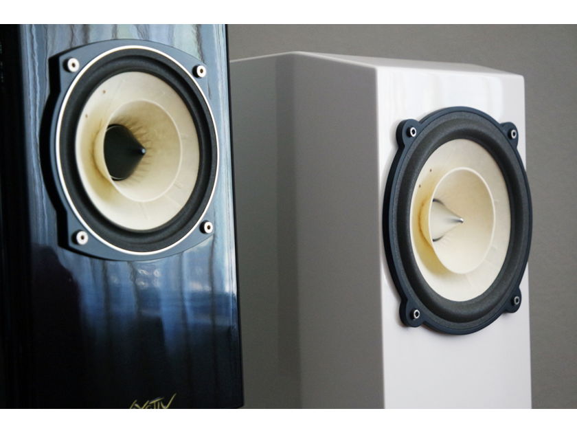 Voxativ Hagen - single driver monitor speakers  - hand made with love in Berlin