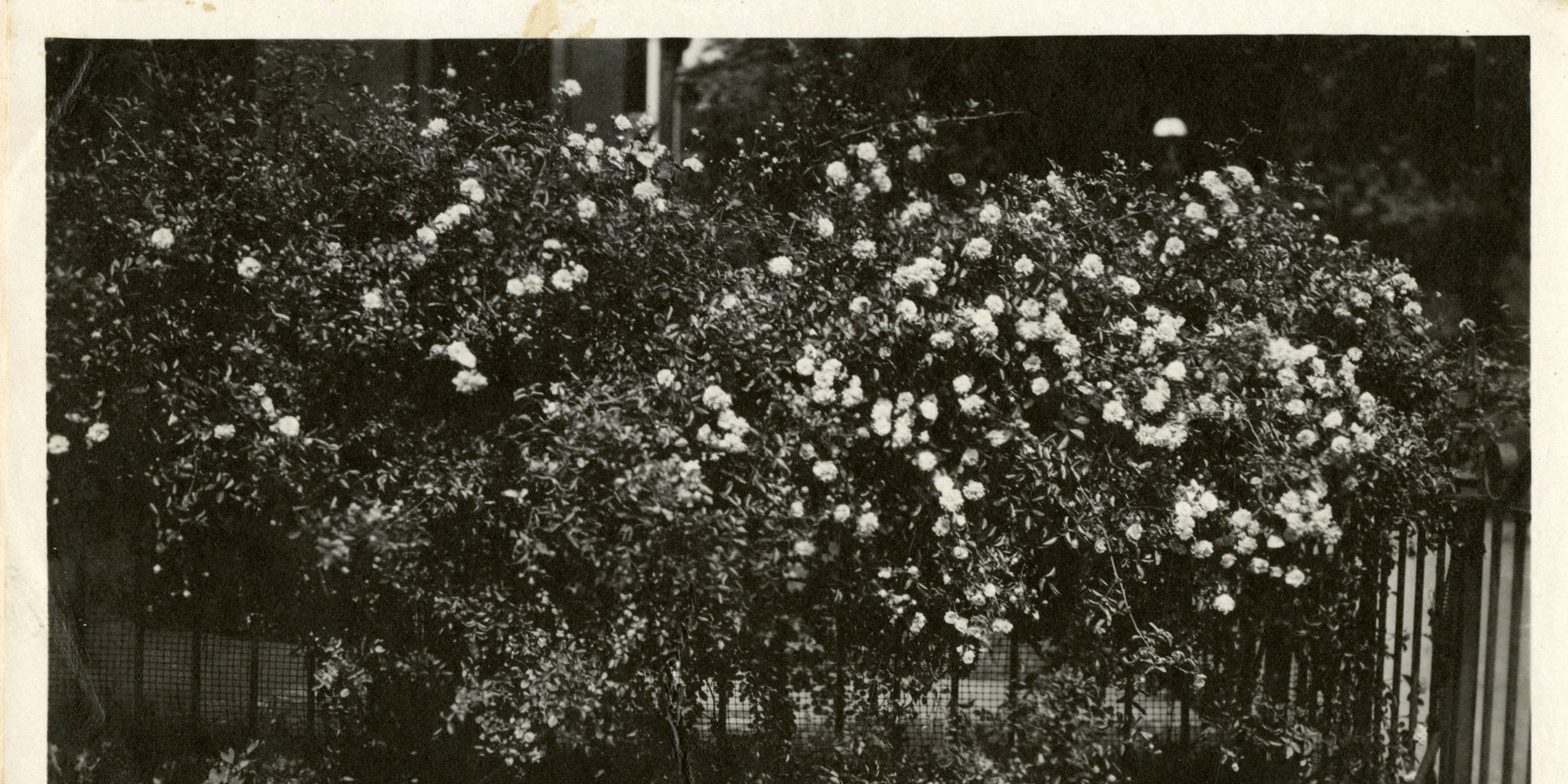list image