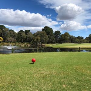 Collier Park Golf