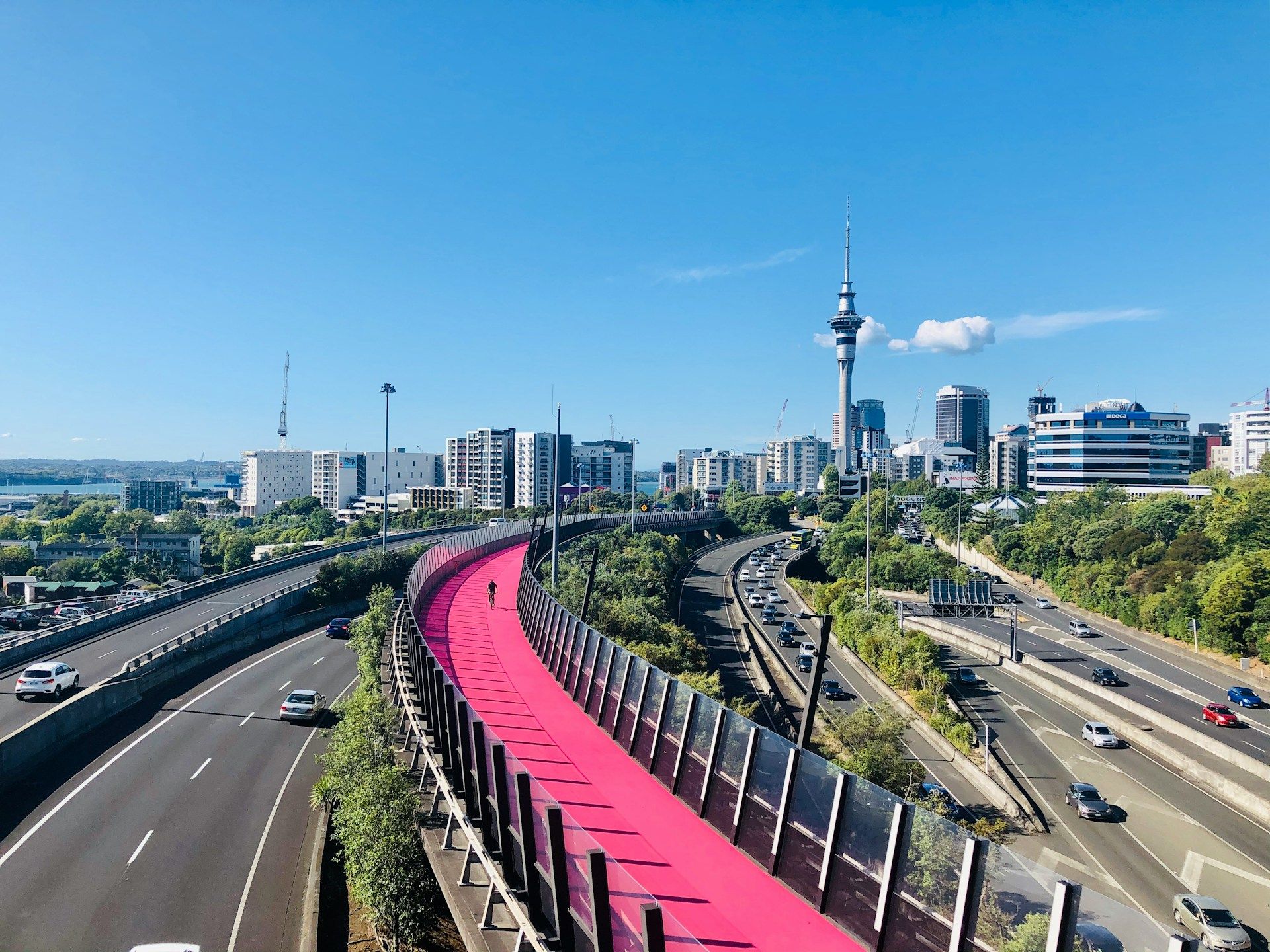 Study in New Zealand from India