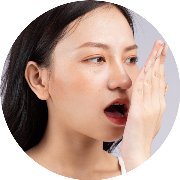 Bitter taste and bad breath, common symptoms of liver imbalance that a milk thistle supplement may help address.