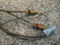 DIN to RCA INT. CABLE, STRAIGHT-WIRE LSI, The Music Con... 2