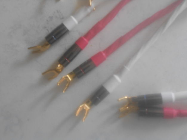 Amadi Cables Maddie  Sig. SE 7ft , All spades.