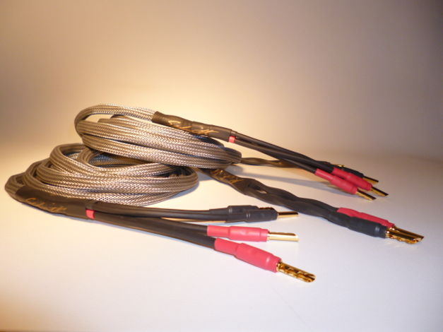 Schmitt Custom Audio Reference 100 4x12 AWG Bi-Wire Spe...