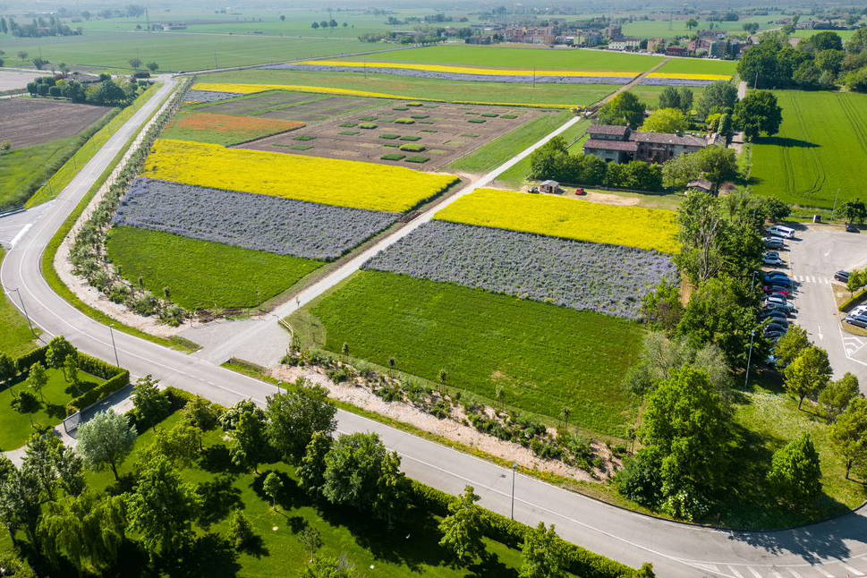 EROC FIELD beeld 2