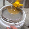 rough-filtering-raw-honey rough-filtering-raw-honey