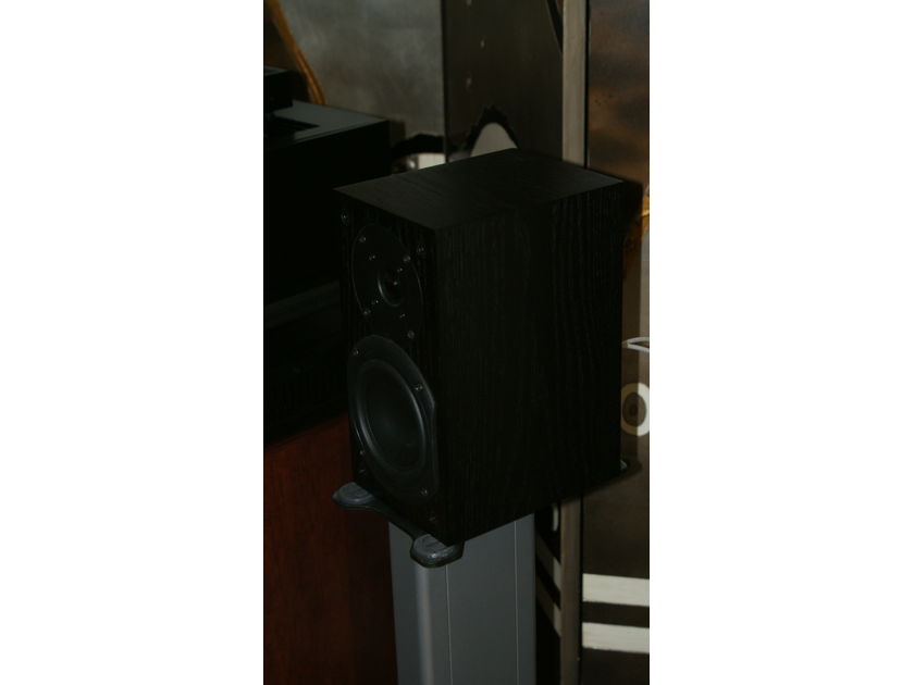 System Audio SA505 Danish Bookshelf Speakers - Black Ash Beauties!