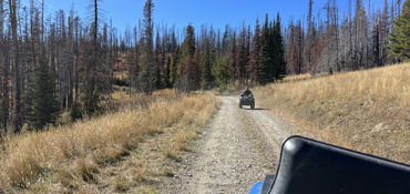 Big Belt Mountains Experience  near Townsend, MT