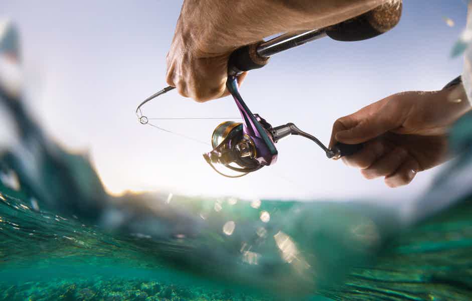 4-Hour Private Deep Sea Fishing Trip - photo 2