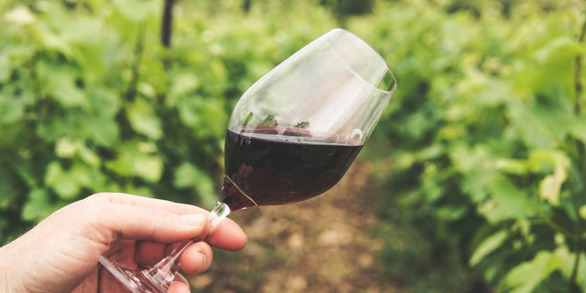 Glass of red wine tilted to its side uncovering the alcohol content of wine.