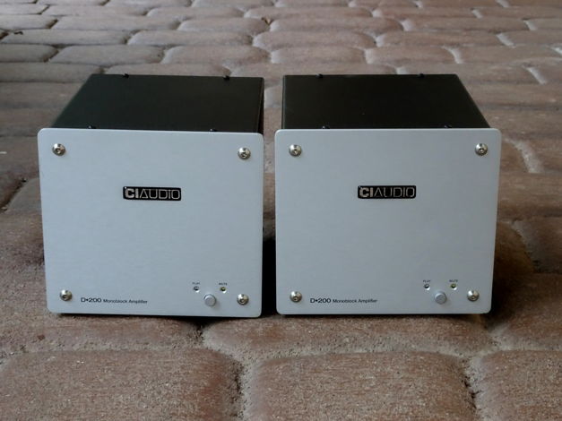 Channel Islands Audio (CIA) D-200 Monoblocks