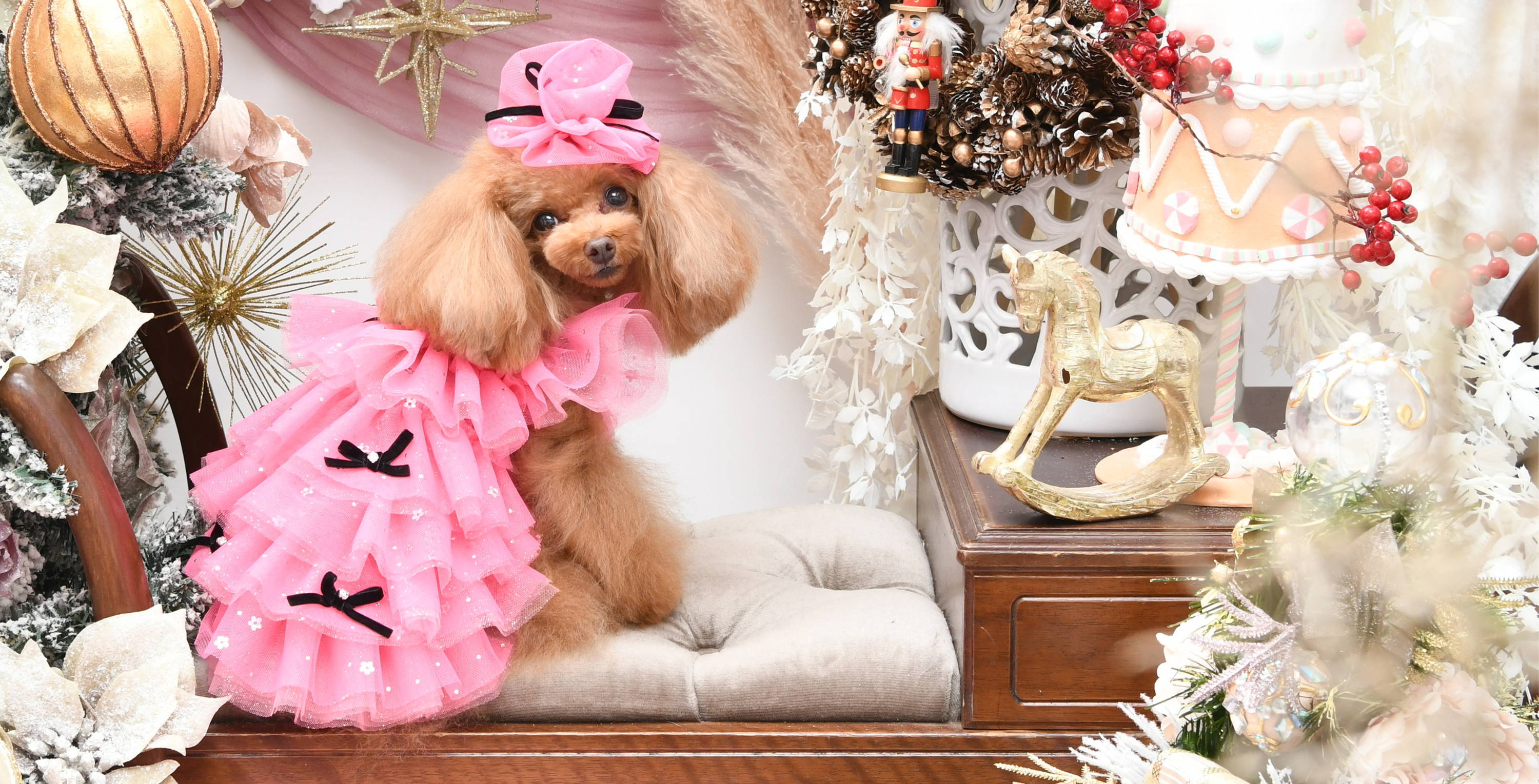 Luxebirdie（リュクスバーディ）|小型犬とのリュクスな生活を楽しむ