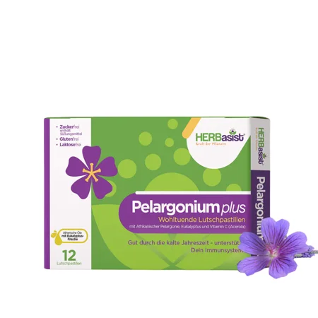 Pelargonium plus