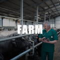 VU10 農場用動物用超音波検査