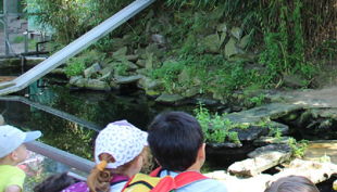 wildpark reuschenberg führungen