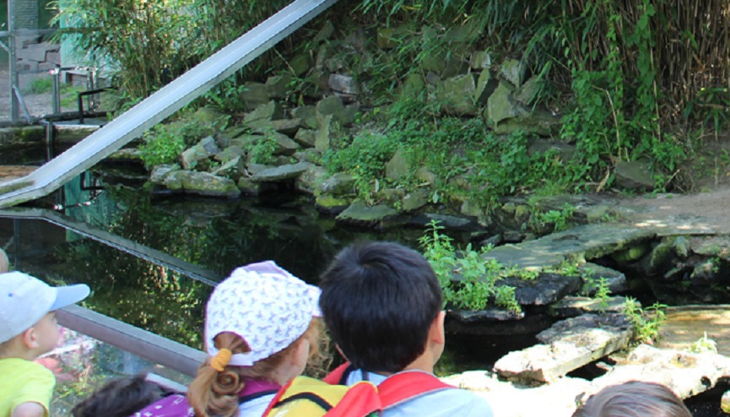 wildpark reuschenberg führungen