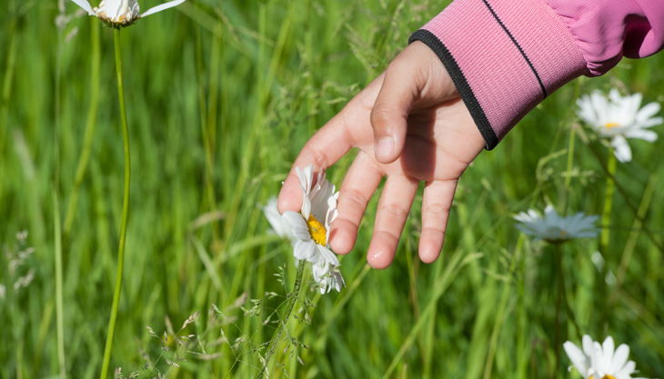 sommer bausmuehle natuerlich lernen solingen