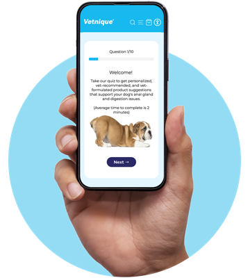 Take the Glandex product quiz to find the right supplement for your dog