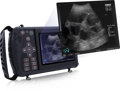 Veterinär-Ultraschall S1 mit klaren Bildern
