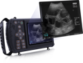 鮮明な画像を備えた S1 獣医用超音波検査