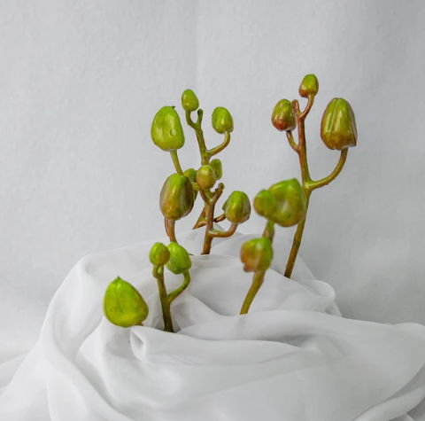 Phalaenopsis Bud ( 6 Pack ) - Realistic Artificial Flowers