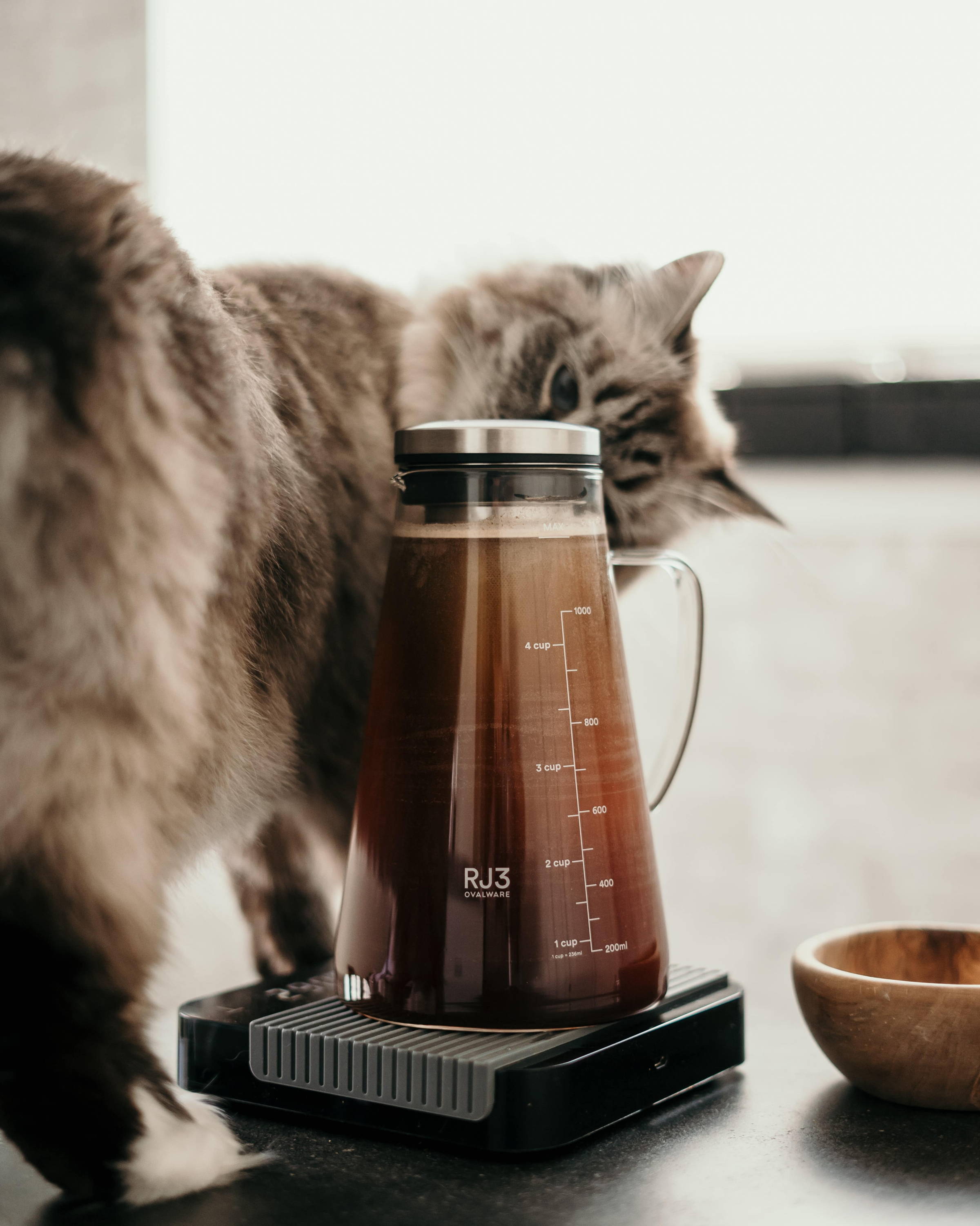 Cold Brew Maker by Ovalware