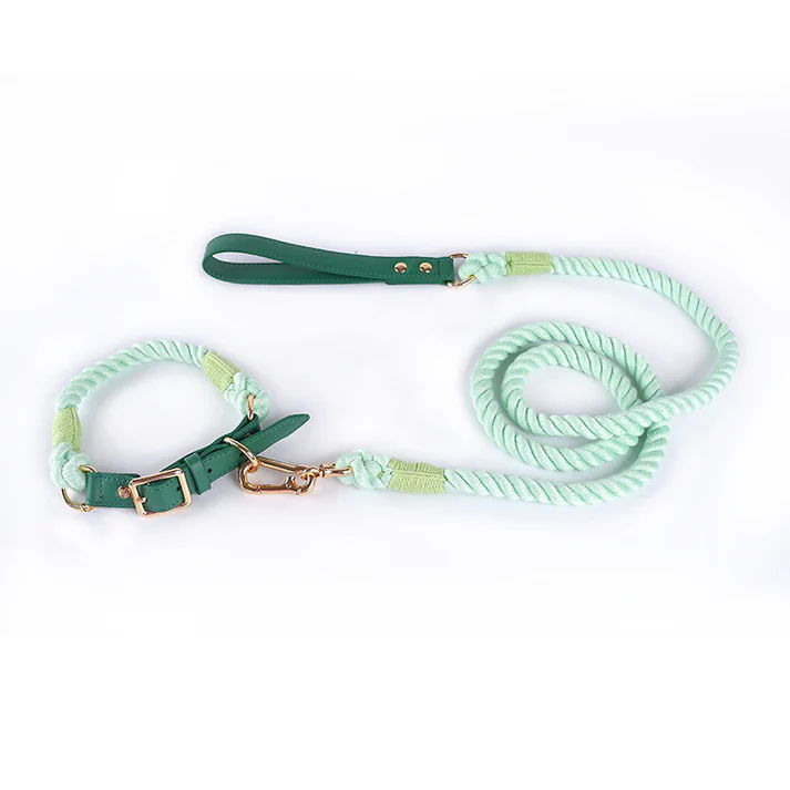 Green Premium Leather Pet Collar and Leash - Soft, Strong Braided Rope