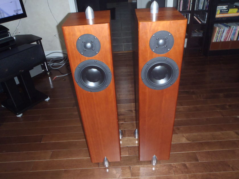 Totem Acoustic Forest