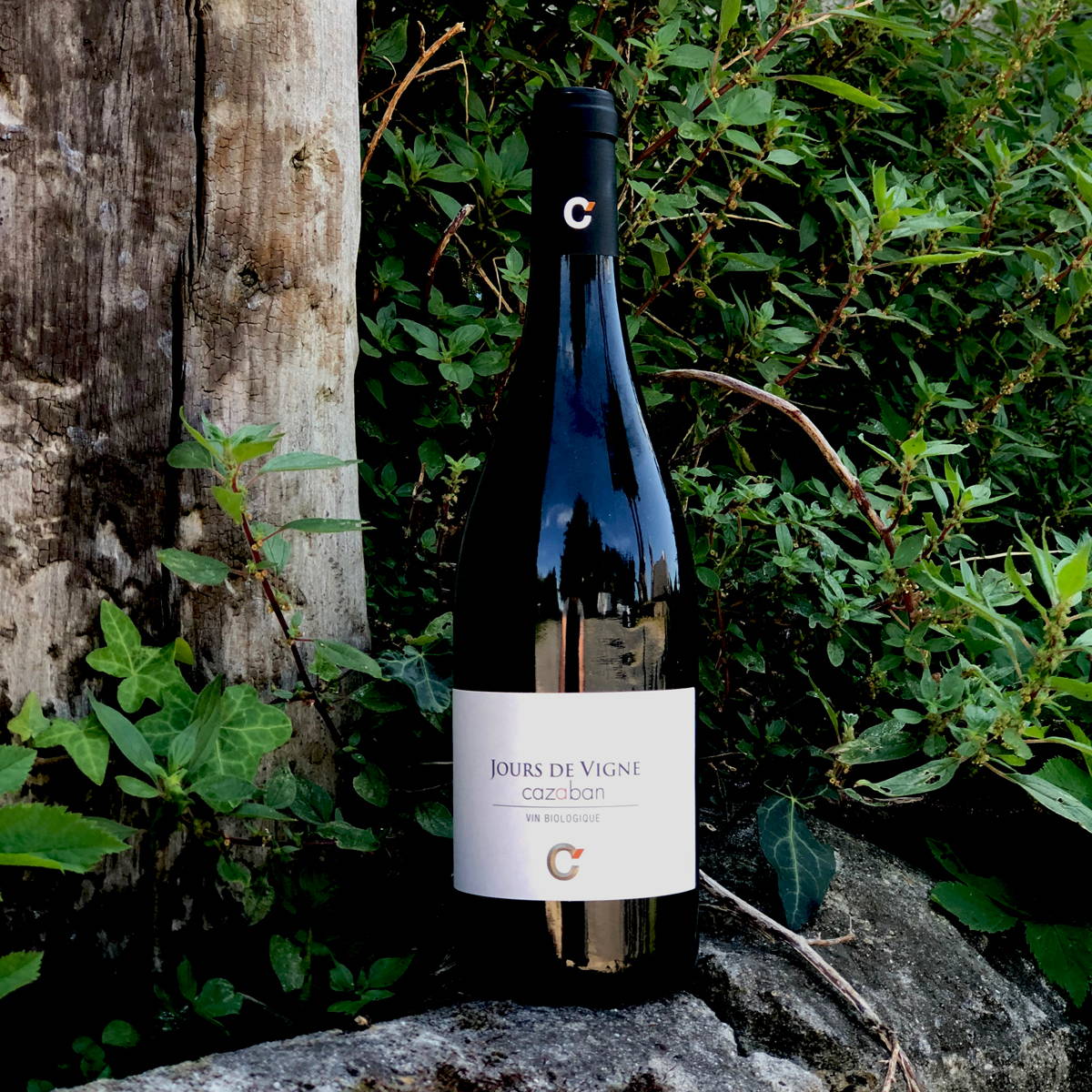 jours de vigne, carignan, grenache, emmanuel taillez, domaine cazaban, joseph parcé, cabardès, languedoc, vin nature, vin bio, vin rouge, vin blanc, vin rosé, raw wine, organic wine, vin naturel, vin sans intrants, vin propre, vin sain, merlot, cabernet, syrah, grenache, mourvèdre, carignan, roussanne, vermentino, grenache blanc, montagne noire