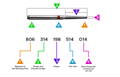ISO numbering system for dental burs