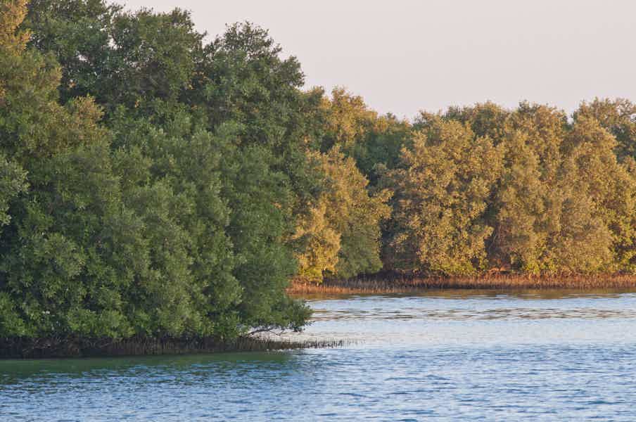 Mangrove National Park: Self-Drive Guided Tour on a Speedboat - photo 2
