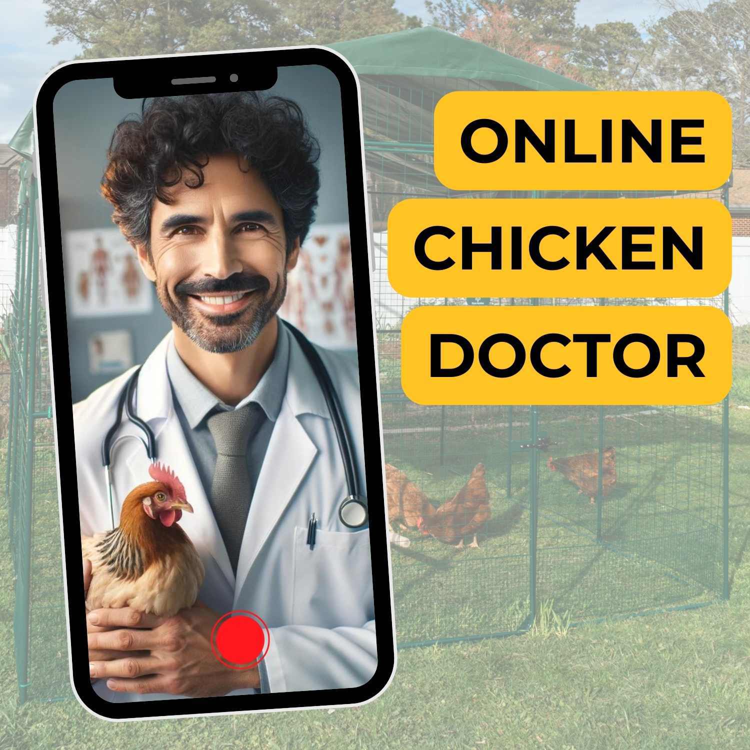 Online Chicken Doctor Vet