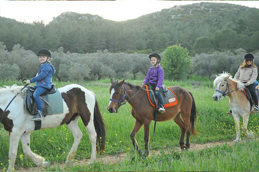 Antalya - Belek: Horseback Riding Through Forest & Beach - photo 2