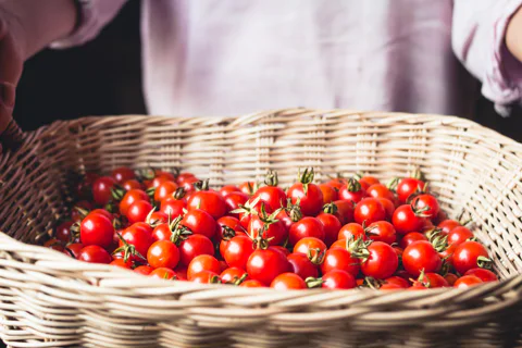 Closeup of a person holding a basket filled with cherry tomatoes.