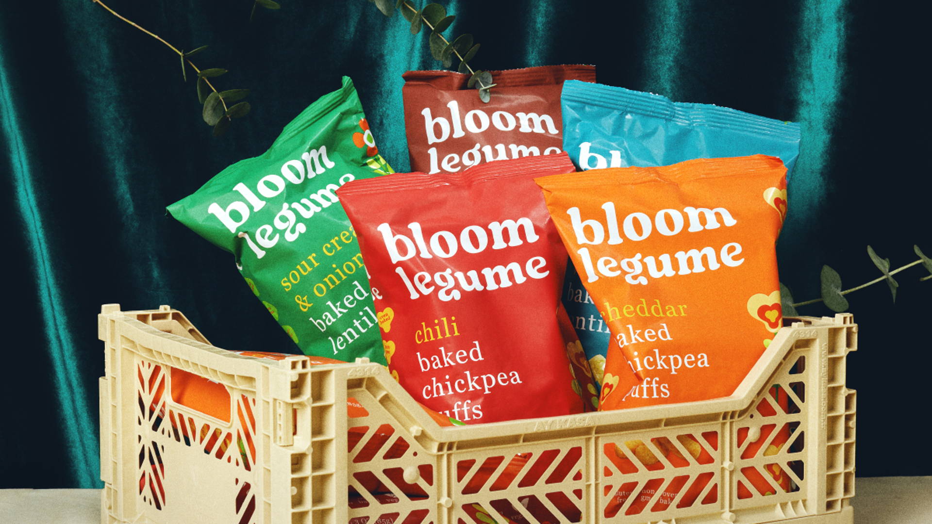 Featured image for Making Legumes Groovy With Bloom Legume's 70s Inspired Packaging