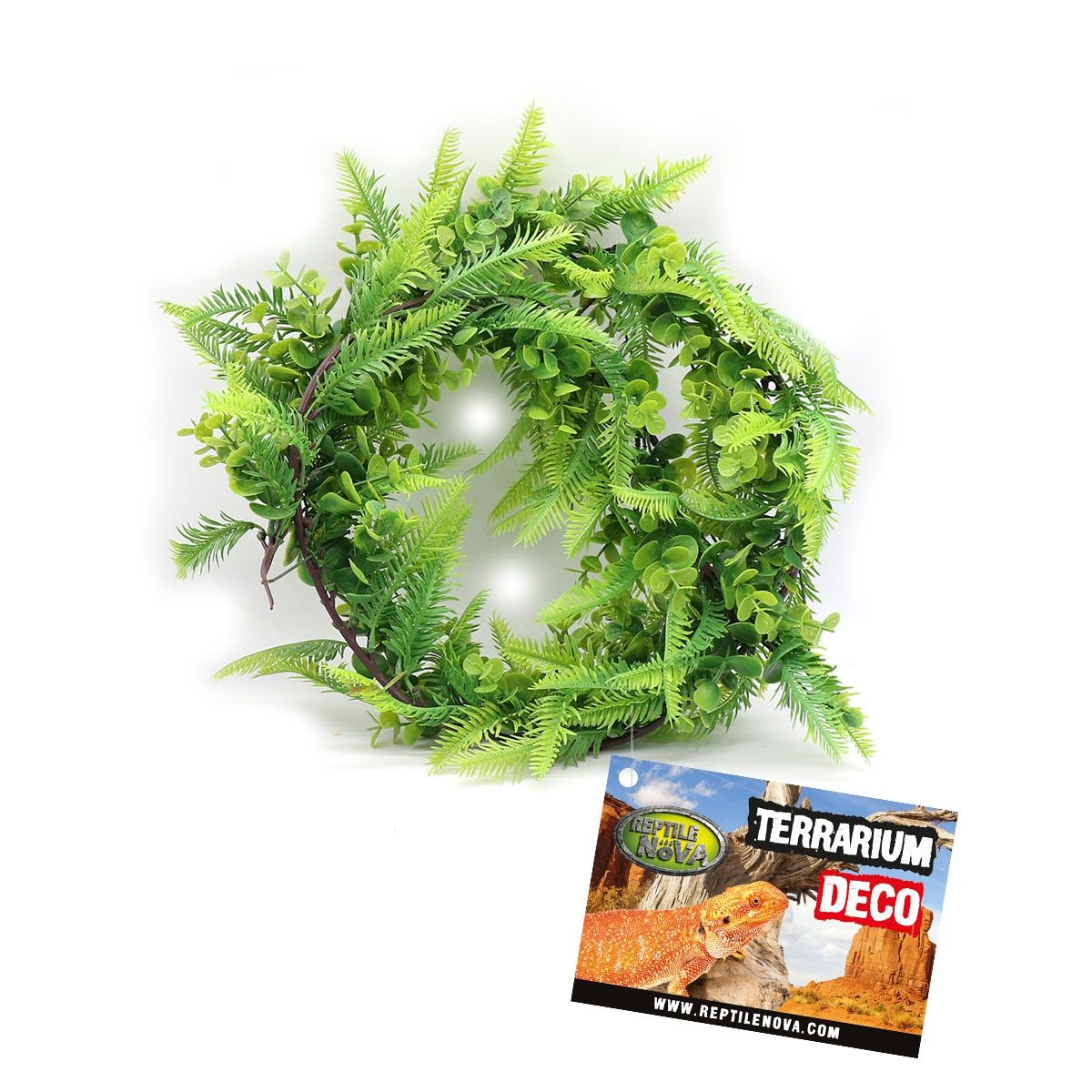 Ingericht terrarium voor een slang