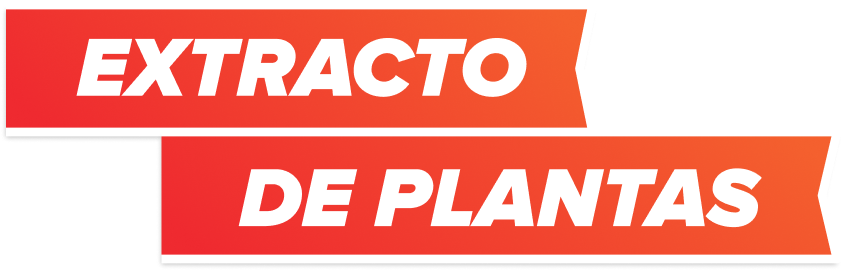EXTRACTO DE PLANTAS