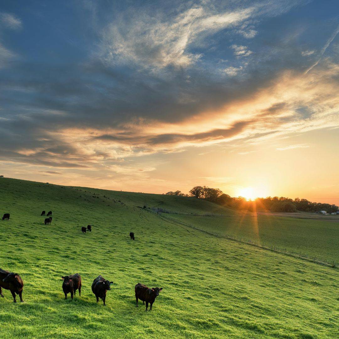 Sunrise in Ireland
