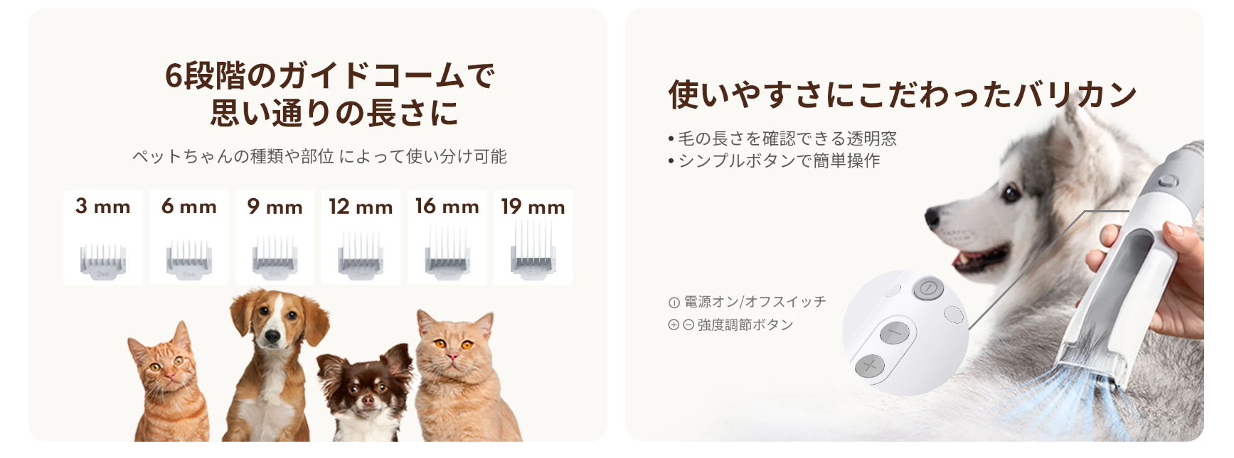 初心者でも失敗しにくい!簡単&安全にカットできる_2