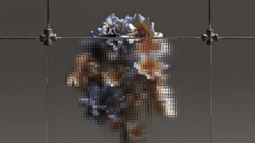 Main Content Image