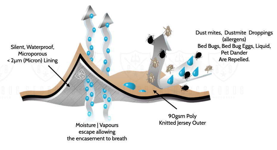 Diagram of How Our Products Work