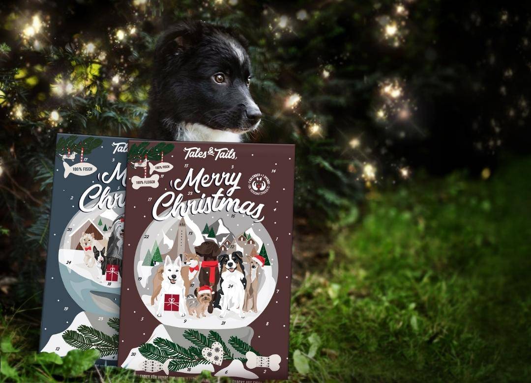 Hundebedarf Tales & Tails