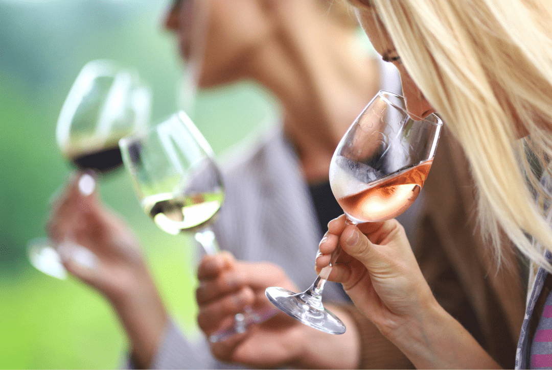 dégustation de vin
