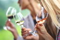 dégustation de vin