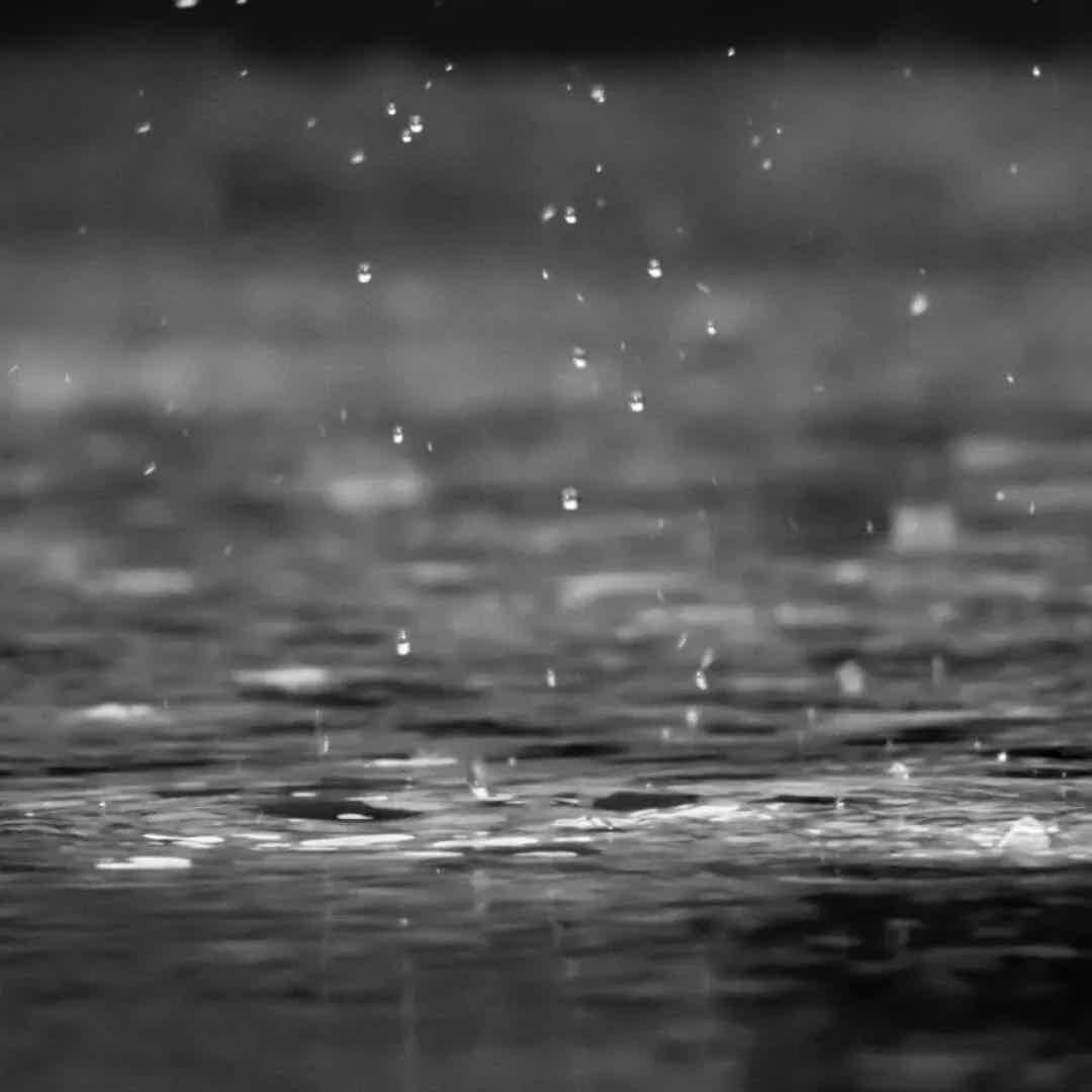 How to manage Seasonal Affective Disorder (S.A.D.)?