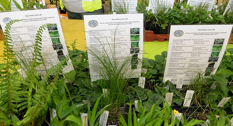 Piedmont Master Gardeners’ Spring Plant Sale 
