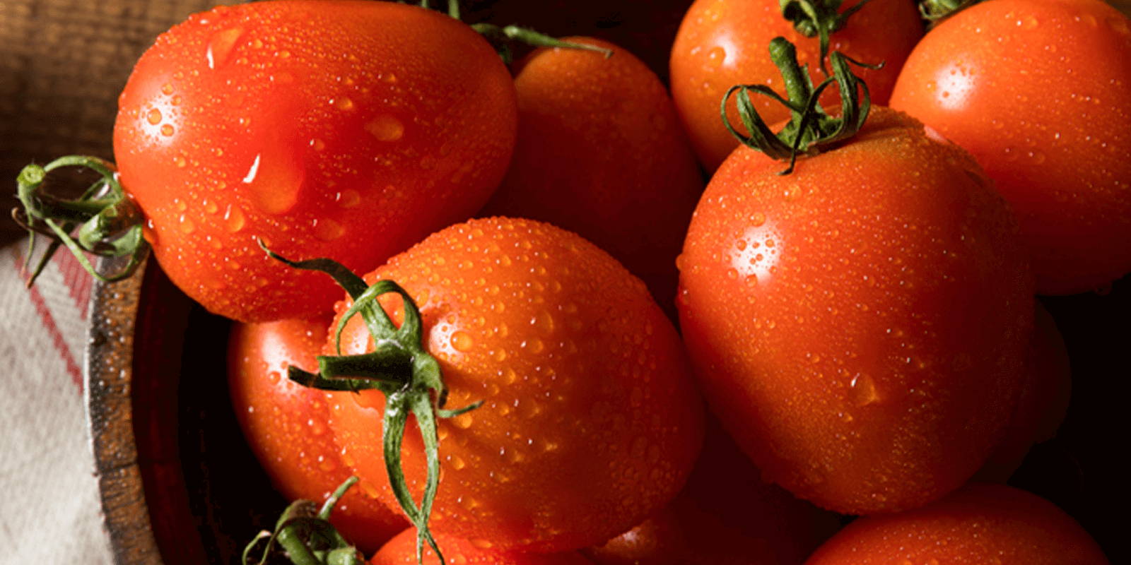 Fresh tomatoes, beaded with dew, piled in a wooden bowl.