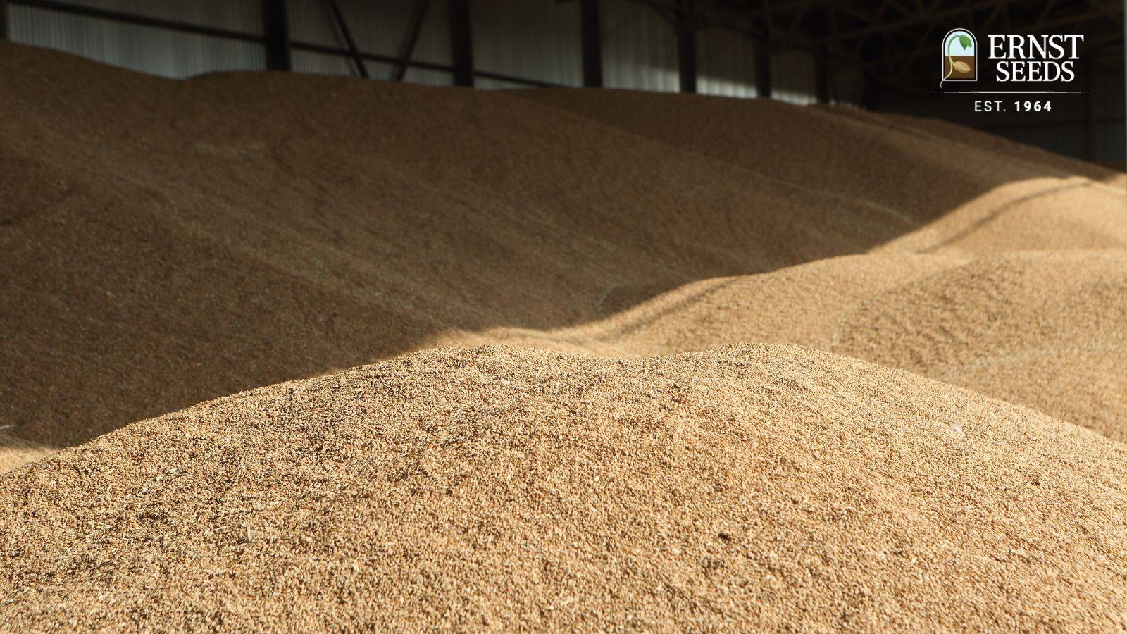 Ersnt conservation seeds storage monitoring with Quanturi system