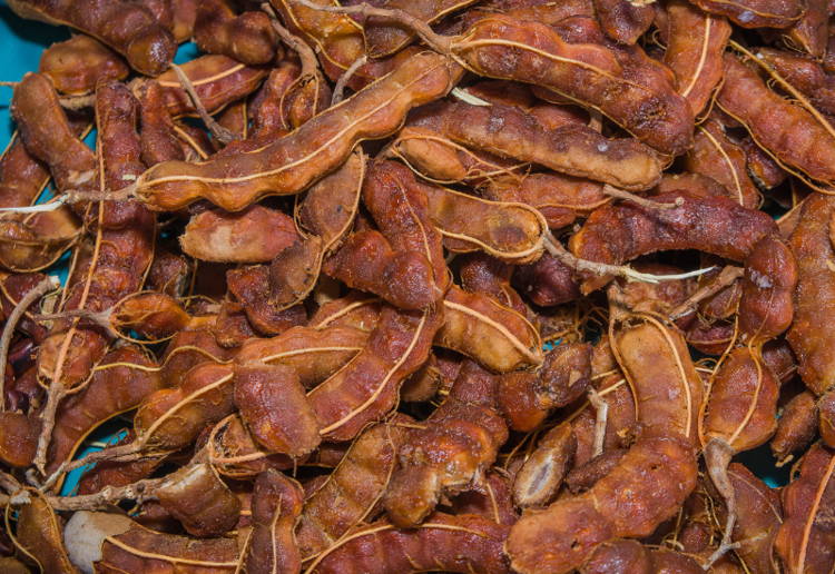 タマリンドとは