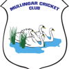 Mullingar Cricket Club Logo